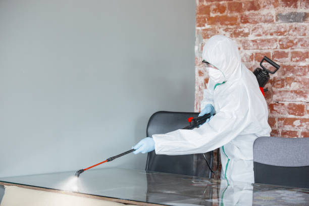 Best Asbestos and Lead Testing During Mold Inspection  in New Cassel, NY